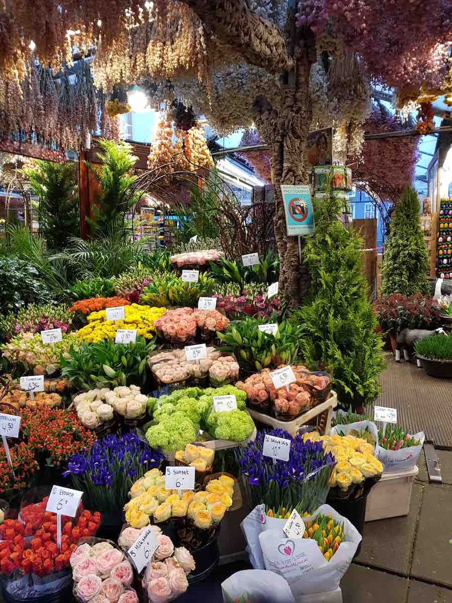 Blumenmarkt in Amsterdam – Foto: Lena Ziehres