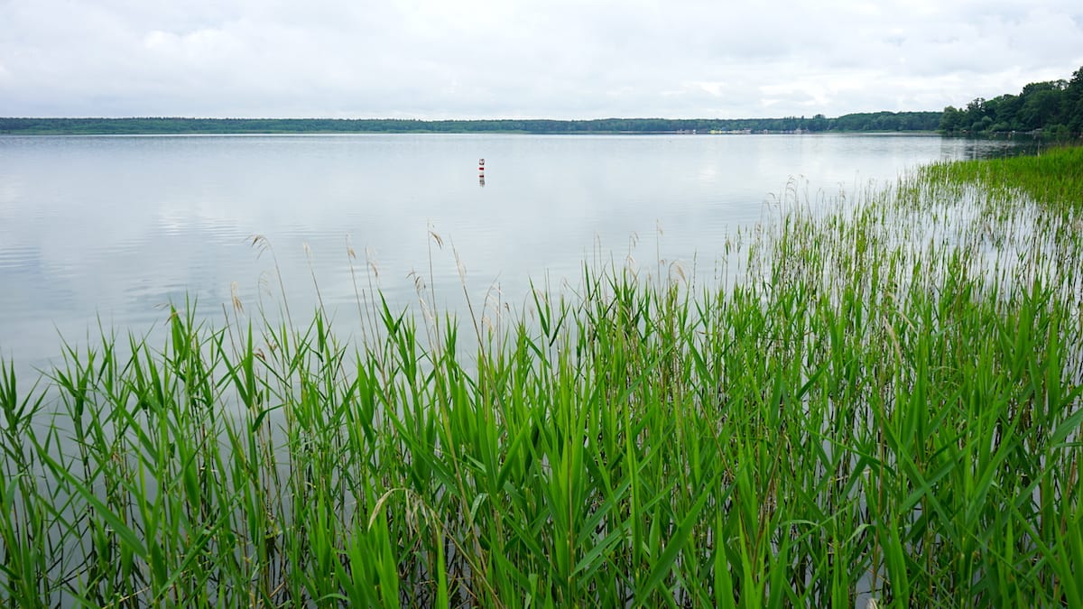 Arendsee, Altmark. Foto: Beate Ziehres, Reiselust-Mag.de