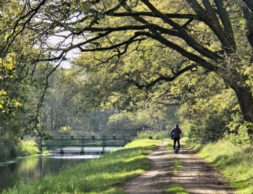 Drömling: herbstliche Radtour durch das Land der 1000 Gräben