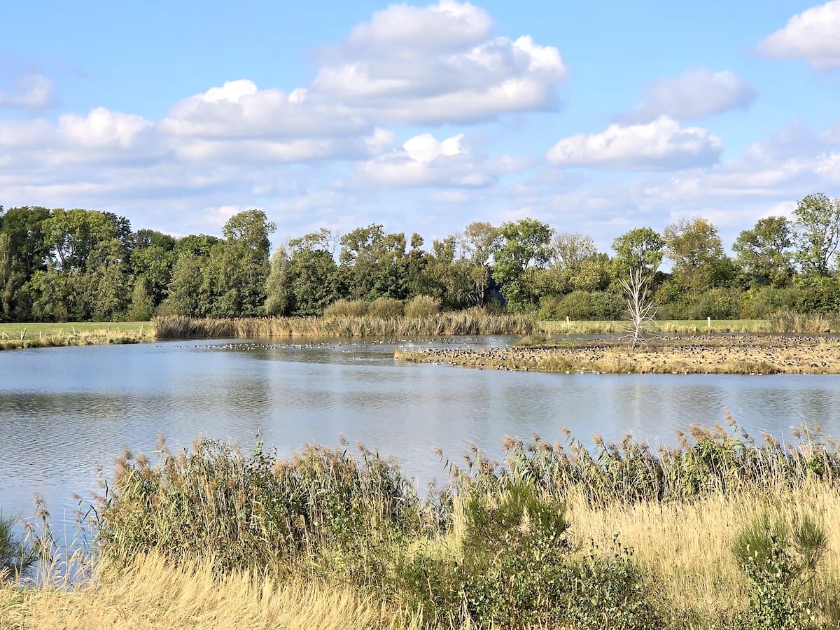 Vogelschutzgebiet Flachwasserzone Mannhausen, Drömling. Foto: Beate Ziehres, Reiselust-Mag