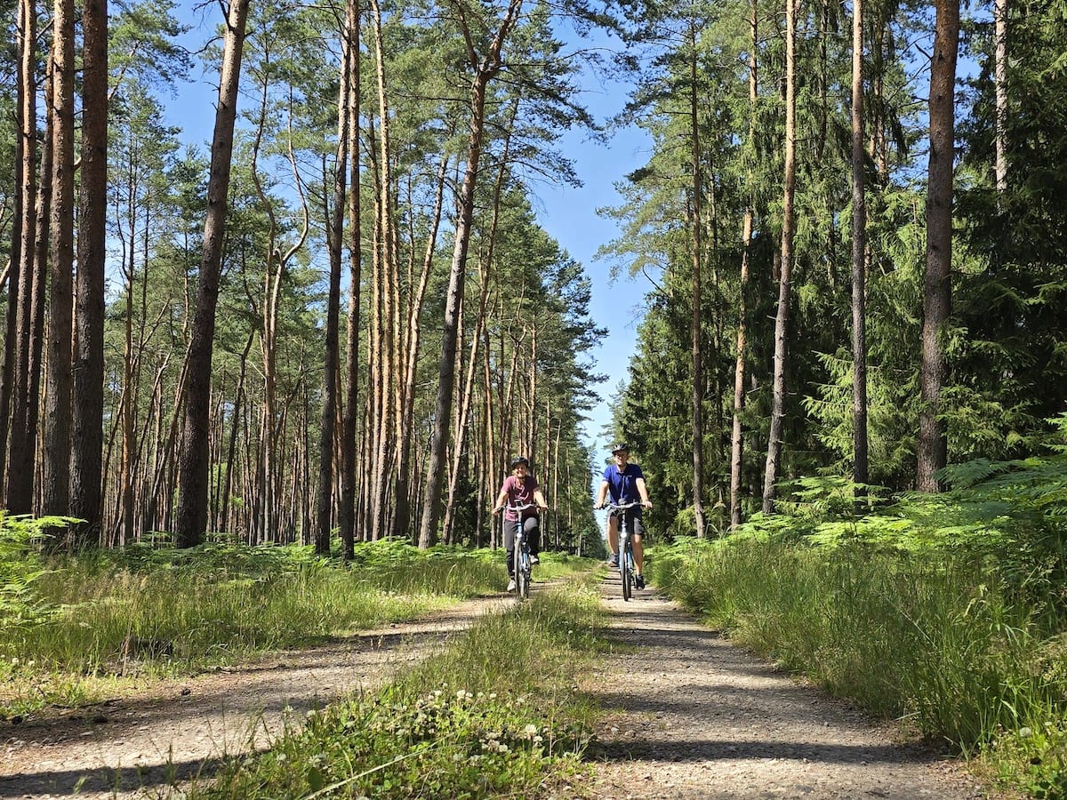 Kiefernwald, Stettiner Haff Rundweg, 2 Radfahrer. Foto: Beate Ziehres, Reiselust-Mag