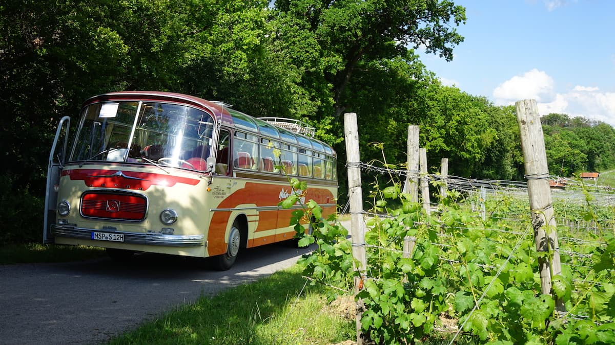 Taubertal: Mit dem Oldtimer-Bus in den Weinbergen – Beate Ziehres