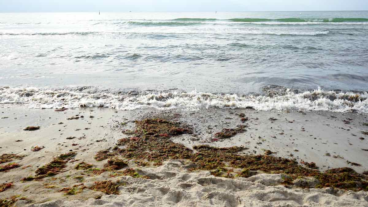 Nur für kurze Zeit: perfekte Wellen zum Reiten am Strand von Warnemünde – Foto: Beate Ziehres